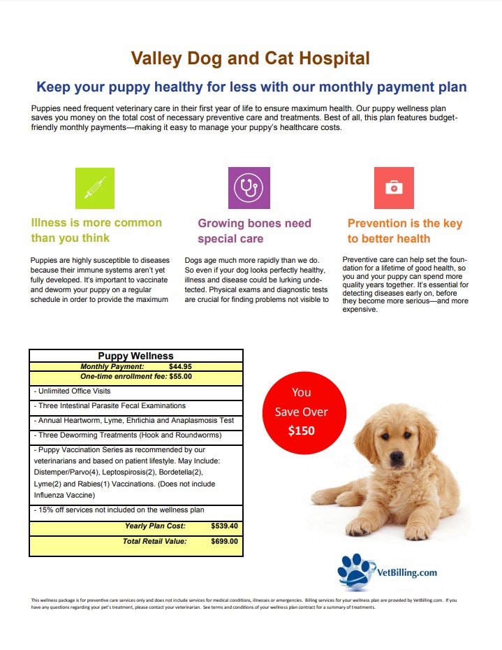 Puppy Wellness – Valley Dog & Cat Hospital