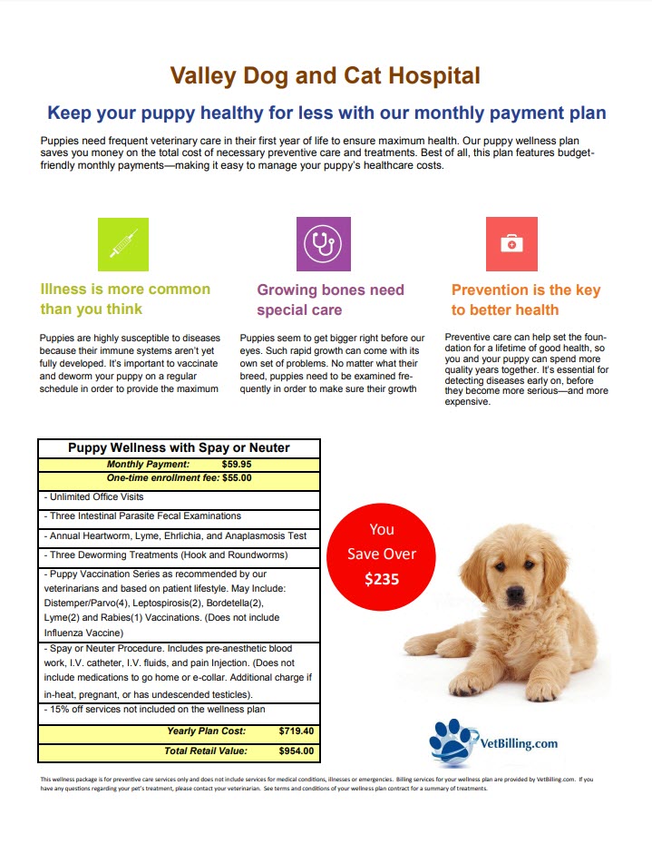 Budget-friendly pet wellness packages