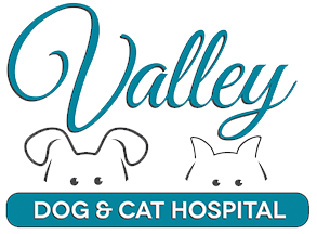 valley cat and dog hospital